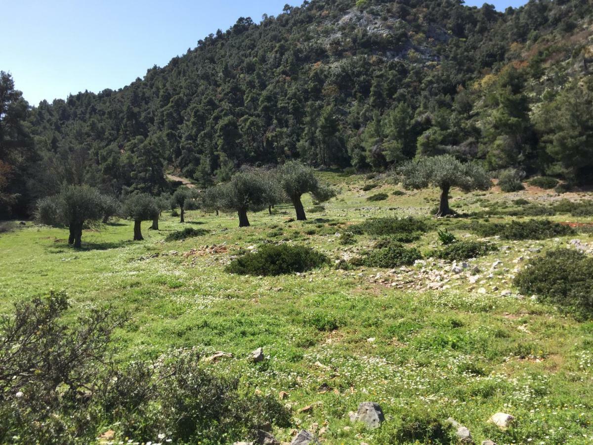 Ferienhaus-Alonissos-Griechenland Alónnisos Exteriér fotografie